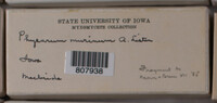 Image Associated With the Occurence